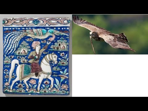 Do You See a Bird? The constellation Aquila and the Eagle