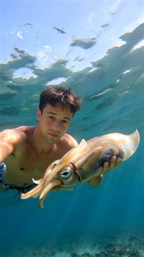 Cameron Dallas | Testing my new GO Pro in Barbados 🇧🇧 | Instagram