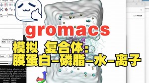 20 GROMACS模拟“膜蛋白-磷脂-水-离子”复合体