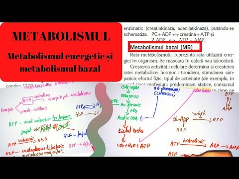 ADMITERE MEDICINA: METABOLISMUL 3: Metabolismul energetic si metabolismul bazal