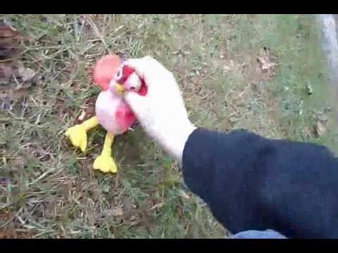 Beanie Babies 2 (2011) - The Final Battle/Strut's Defeat