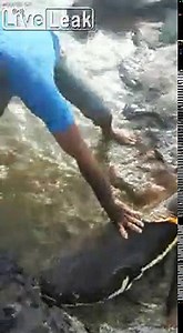 Pêcher à la main un poisson d'1m de long... Pas si simple !