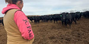 USDA Census of Agriculture finds more North Dakota women getting involved in agriculture