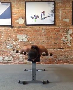 Exercise Spotlight: Shoulder I's, T's, H's, and Y's  — Endurance Physio Missoula Physical Therapy