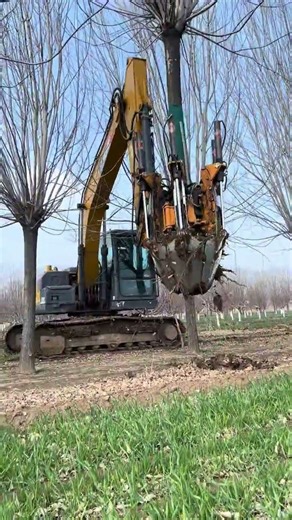 Evergreen Tree Digging Machine Tree Digging Machine Recommended Tree Digging Artifact Nursery Tr