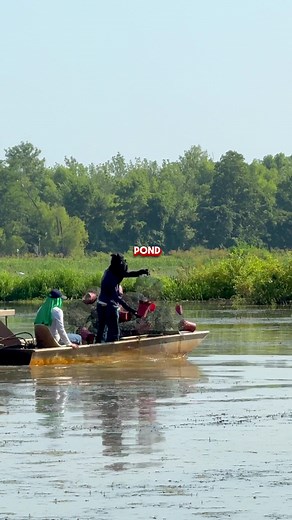 🎥I need video ideas! Help me out in the comments! What do y’all want to see? #farming #farmlife #crawfish #louisiana
