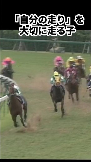 走り方を知ってその子に近付けたりする#競馬 #競馬好き #馬#馬好き#メジロパーマー#アストンマーチャン