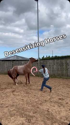 66K views · 3.4K reactions | One of my email subscribers asked how to...