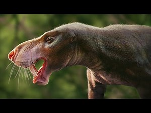 The Mysterious History of the Origin of Gorgonopsids