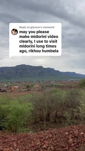 musina_prof on TikTok