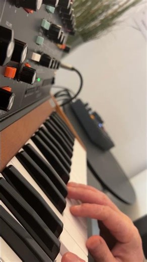 Bass #synth #behringer #polyd