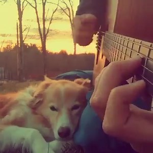 Jason Mraz Curta: RadioConnectMusic Acesse: http://www.radioconnectmusic.net/ | RadioConnectMusic