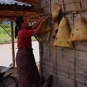 Survival in the rainforest | Survival Technology TV