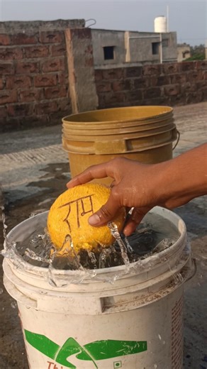 Ram Setu stone #shorts #shortsfeed