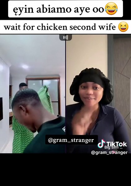 Funny Chicken Videos Compilation | Hilarious TikTok Chickens