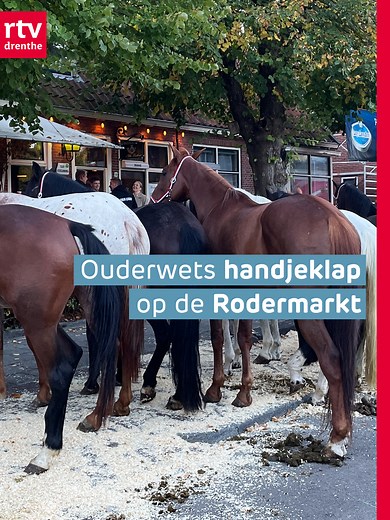 Ouderwets handjeklap op de Rodermarkt