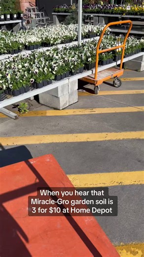 Stock up and save 🪴 Start prepping your spring garden and take advantage of 3 for $10 bags of garden soil you can use with annuals, perennials and all types of vegetables https://thd.co/3TNLldC | The Home Depot