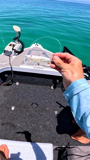 The Curly Prawn 90mm just works, lifelike PVC body, twin curly tails, vibrating legs, and weedless rigging that lets you fish anywhere. From flats to snags, it gets eaten. Grab one today! | Chasebaits Australia