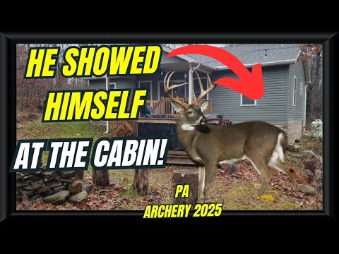 PA Archery Hunt: Chasing the 8-Point Mountain | Trail Cam Action & Crazy Cabin Encounter