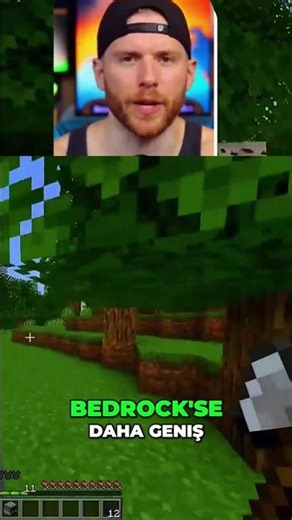 Minecraft Java vs Bedrock: Hangi Sürüm Senin İçin? #shorts