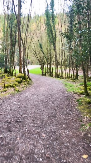 11K views · 42 reactions | Folly  | IRISH STUFF | Facebook