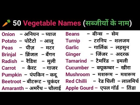 100 Words with Hindi Meanings | Word Meaning | Daily Use English