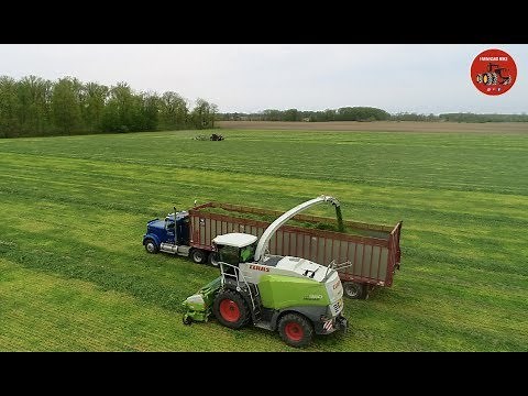 Chopping Triticale at New Holland Dairy near Blufton Indiana