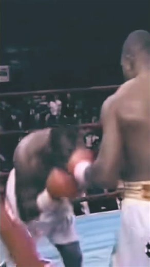 Dominated the Heavyweight Division