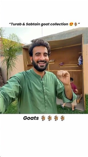 Turab & Sabtain Ki Complete Goat Collection 😍🐐 | So Cute!