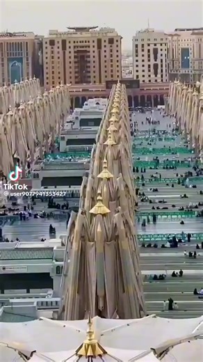 nFsgsf Sgg (@nfsgsf.sgg)’s videos with original sound - nFsgsf Sgg