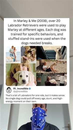 In Marley & Me (2008), over 20 Labrador Retrievers were used to play Marley at different ages. Each