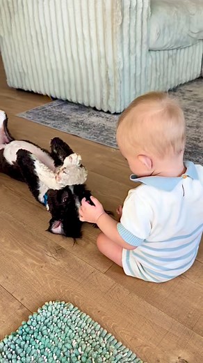 Tolerance testing is vital when bringing a baby into a household full of dogs. Tolerance testing is the controlled evaluation of how much stress or pressure a dog can handle before showing signs of discomfort, fear or aggression. Even though all of our dogs have been tolerance, tested with babies and small children for years, we gave them all a refresher course before our son came into the world. Here you can see our son doing many of the same things we do in the test, which is a combination of 