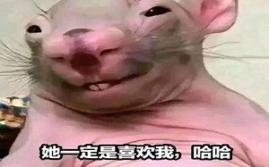 “笑了你就会进入幻想时间的MeMes”#230