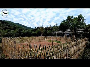 Full Video: The process of building a beautiful garden, Grow vegetable, Adopt fish, Raising chickens