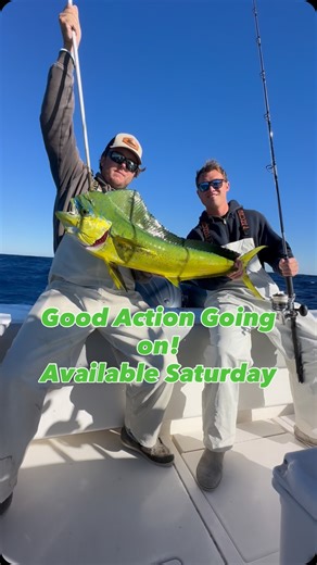 Good Fishing taking place right now. Little bit of everything. From #swordfish to #Dolphin, #Blackfin, #sailfish, and even some #Wahoo. Give us a call, we are open on Saturday. #stuartflorida #floridafishing #saltwaterfishing #DeepSeaFishing #OffshoreFishing #LightTackleSportFishing #BlackfinRods #yamahaoutboard #RuppMarine #ContenderBoats #simradsy50 #tigressoutriggersandgear #inshorecharters #offshorecharters @jimmy.peterson25, @victorferrato | Off The Chain Fishing Charters, Fishing Charters 
