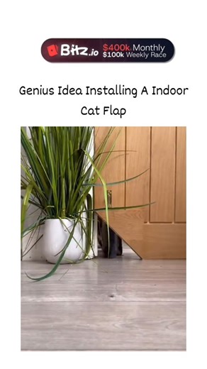 universal mems on Instagram: "The post shares a DIY video tutorial on crafting and installing a hinged cat flap into a wooden door, enabling indoor cats to access outdoor areas independently, using basic tools like a saw and hinges. Posted on 10 December 2025, it has amassed over 3,500 likes and 295,000 views in two days, sparking praise for its ingenuity alongside concerns from users about wildlife entry or potential cat injuries. Such modifications enhance feline welfare by providing environme