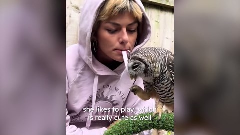 Unwanted baby owl refuses to leave her new mom’s side