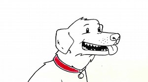 1.3M views · 3.7K reactions | Dealing with fleas and ticks are a pain - both for you and your pet. So what's the best way to fight them?  ✅In this video, we'll share with you what DOESN'T work along with what DOES | Only Natural Pet | Facebook