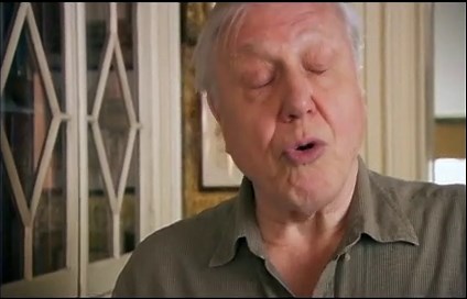 Charles Darwin and the Tree of Life (TV Movie 2009)