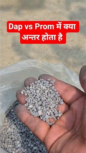 Dap Prom खाद में क्या अन्तर है | dap vs Prom fertilizer