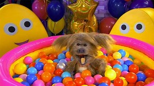 Birthday Song - Party Songs - CBeebies