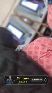 3.4K views · 29 reactions | How to Sum Negative or Positive values in Excel #trendingshorts #shortsvideo #shortcutkeys #excel | Eduquiz competition studies | Facebook