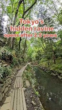 Tokyo's most peaceful nature escape?