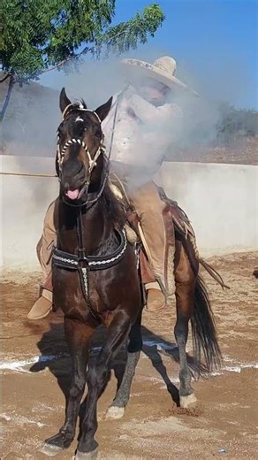 significance of invitation