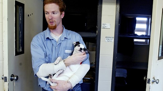 Inmate who escaped from Kan. prison in dog crate dies while incarcerated