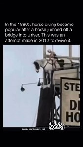 In the 1880s, horse diving started when William “Doc” Carver’s horse leaped off a bridge into a river, captivating audiences. It faded as injuries to riders increased and animal rights issues grew. A 2012 revival attempt was quickly stopped by animal welfare advocates. | Historyinmemes