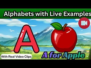 Alphabets A to Z with Live Examples | ABC Learning for Kids | Alphabet with Pictures
