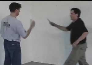 WTF - Witness the martial arts majesty of Systema in action