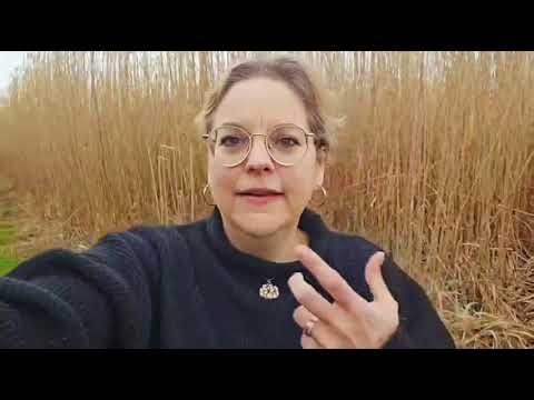 La formation en art-thérapie à l'Ecole Belge d'Art-Thérapie