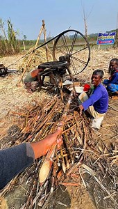 2.9M views · 18K reactions | Traditional Sugarcane Jaggery Making Old Process. | TMS TAMIM | Facebook